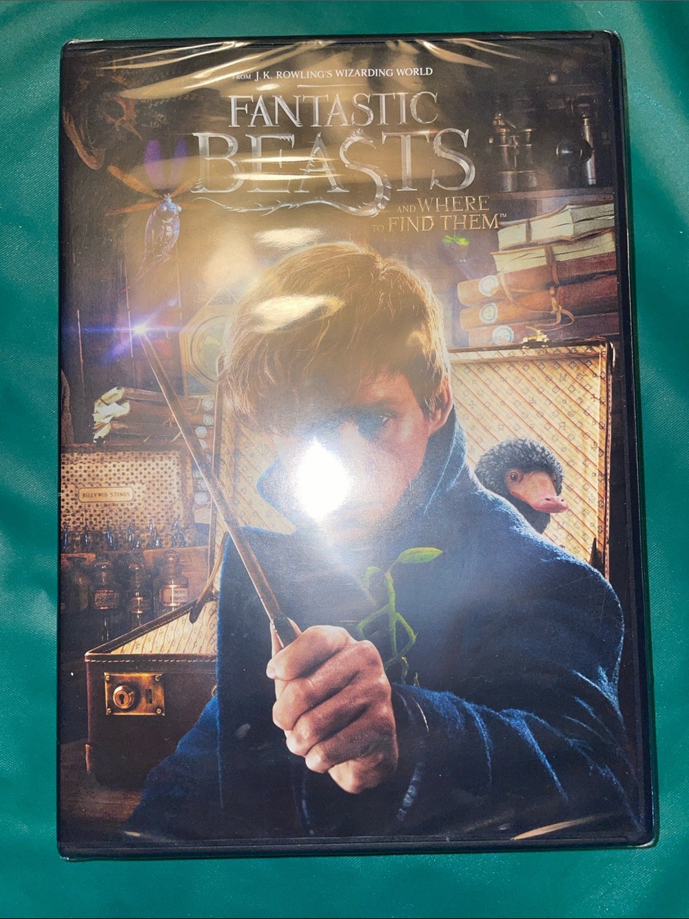 Warner Bros. Fantastic Beasts DVD